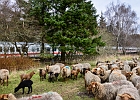 unbenannt-1265