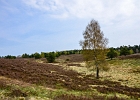 unbenannt-1042-2
