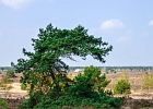 unbenannt-1053