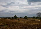 unbenannt-1068