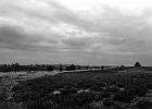 unbenannt-1085