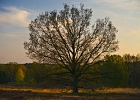 unbenannt-1140-2