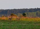 unbenannt-1165-2