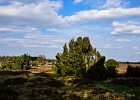 unbenannt-1231