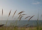20120628-unbenannt-999